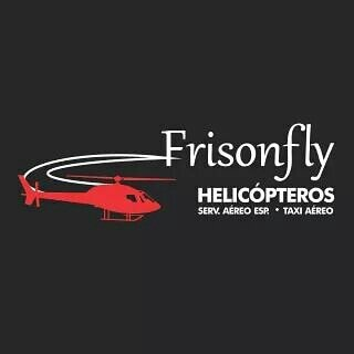 Frisonfly Escola de Aviação